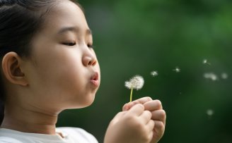 Give to Catawba County CAPC Give to Catawba County CAPC